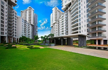 Embassy Group